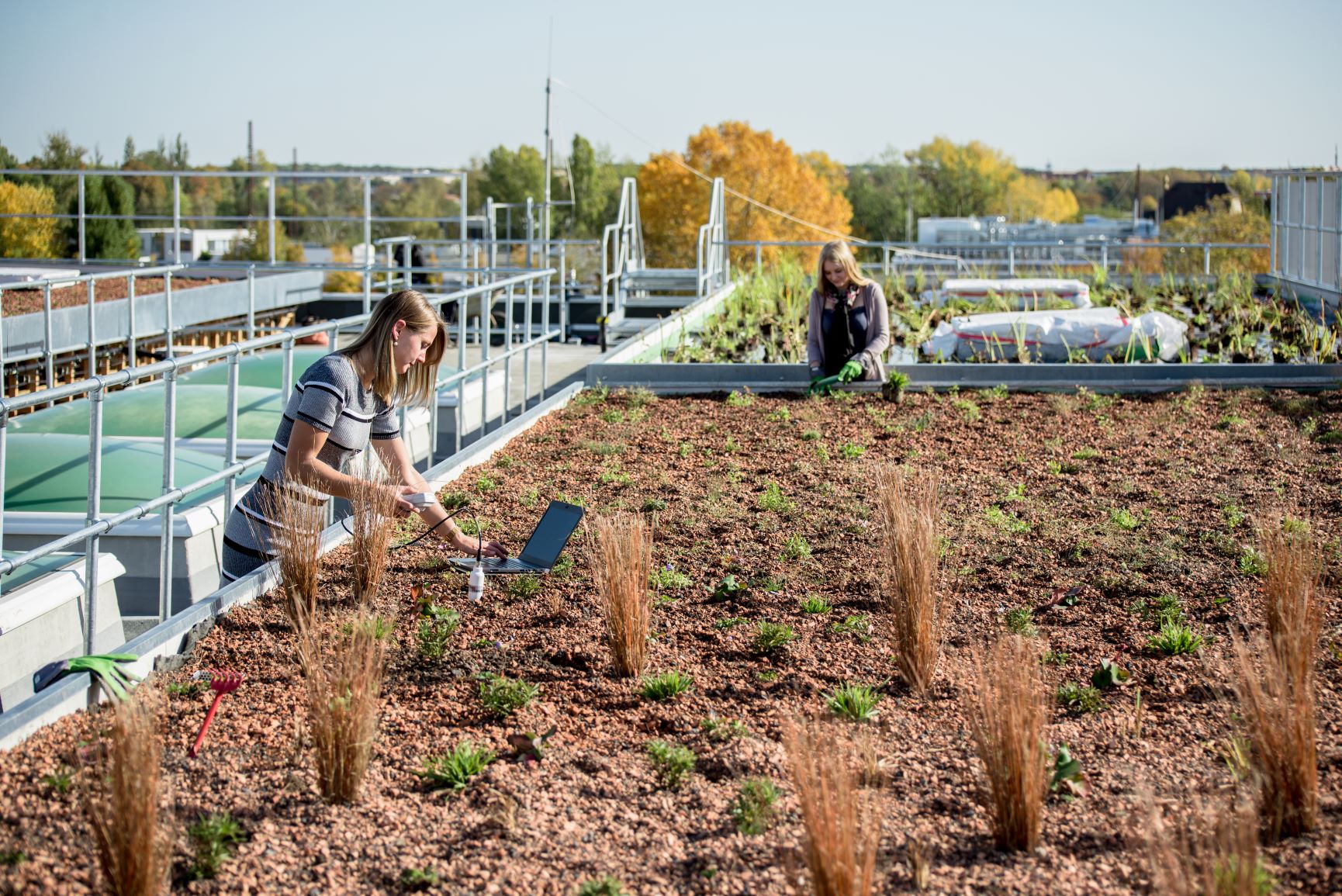 Foto: ©Tobias Hametner / UFZ