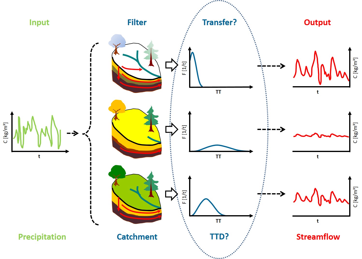 TTD Shape Variations