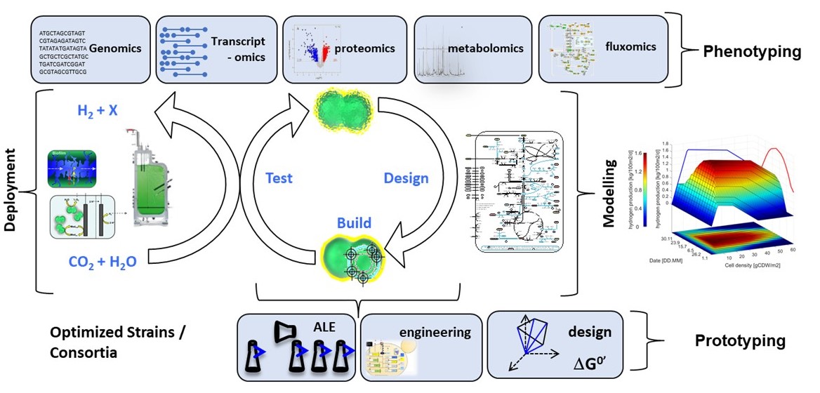 Systems Biotechnology Group Systems Biotechnology Group