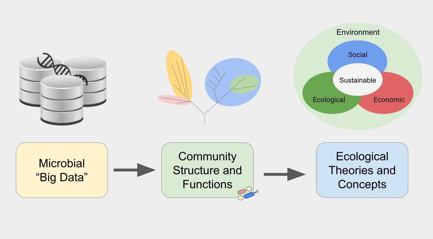 Mining Big Data: from public available data to conceptual developments in microbial ecology (© Felipe Borim Corrêa).