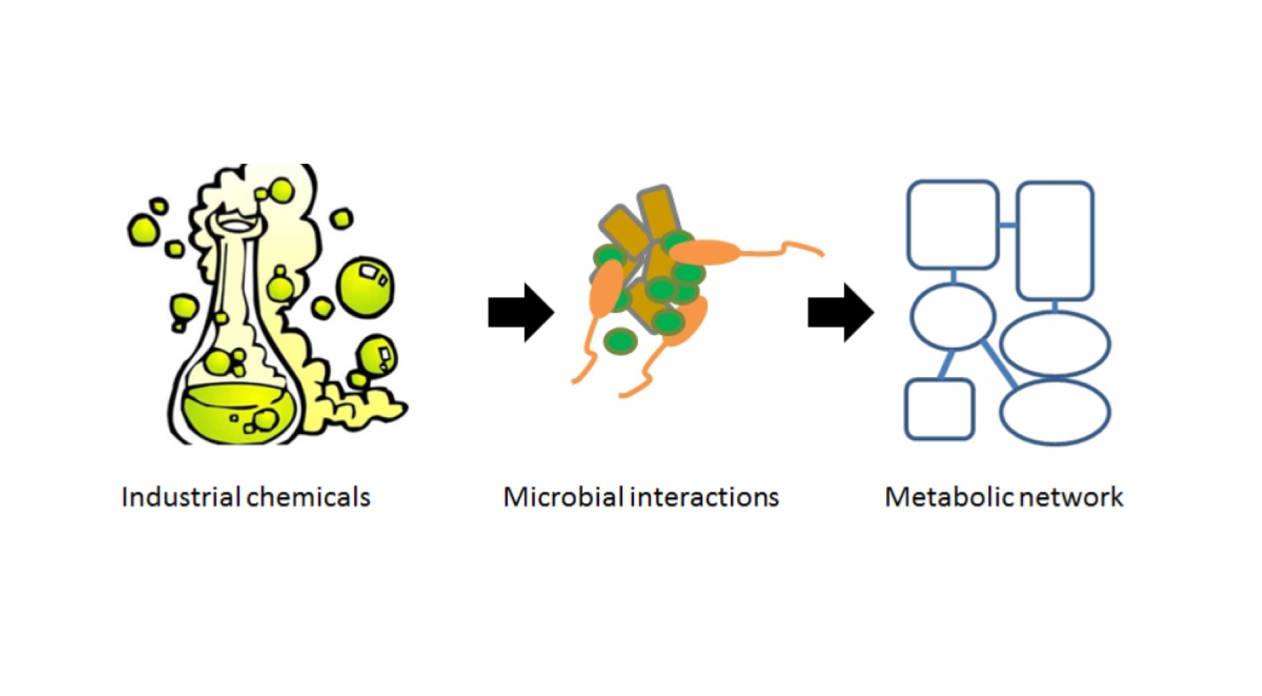 Prediction of ecosystem capactiy to degrade chemicals from community genetic potential and interactions (© João Saraiva).