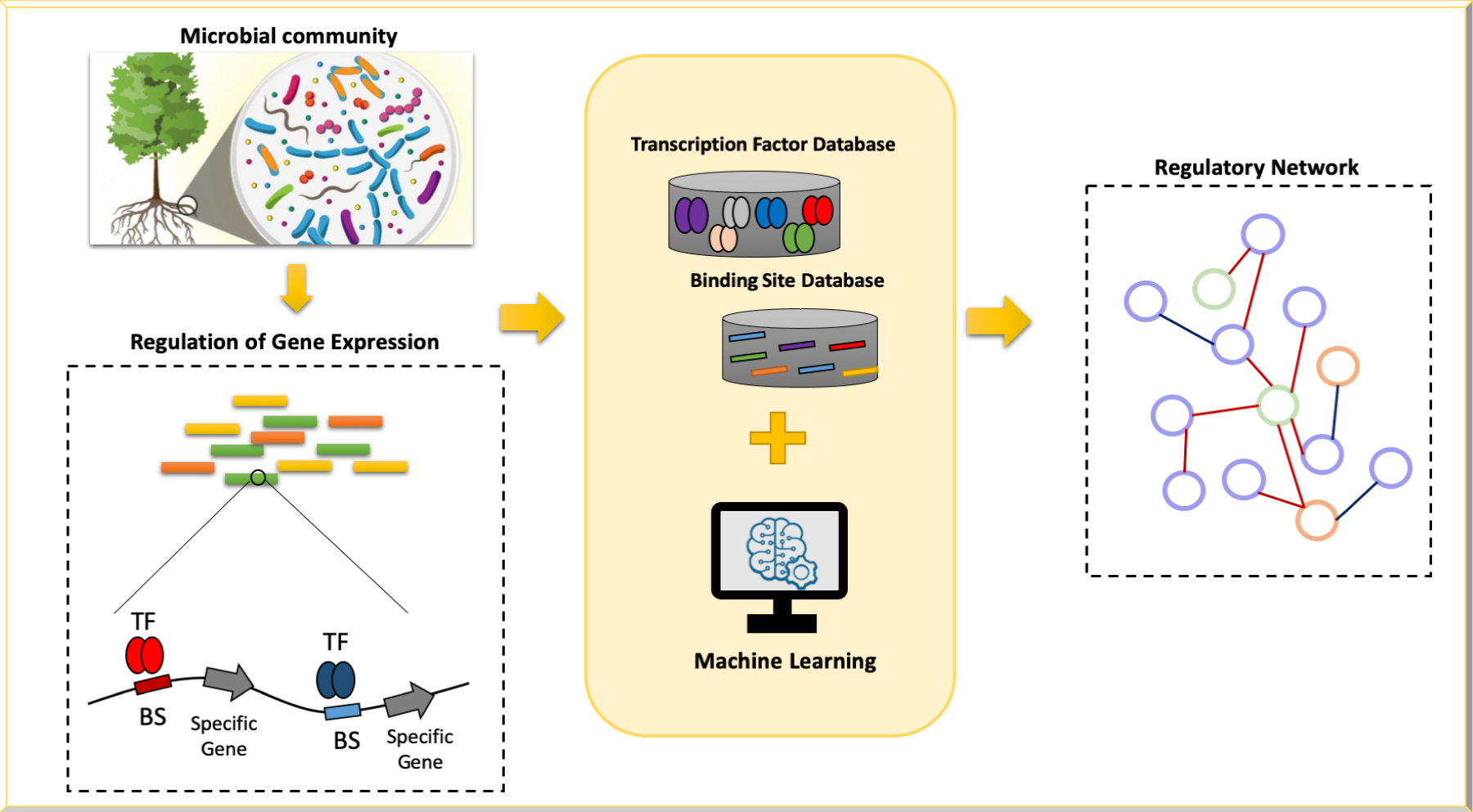 Prediction of Transcription Factors using Deep Learning in complex microbial communities (© Lummy Monteiro).