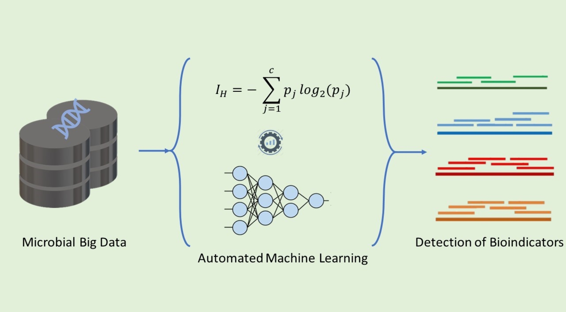 Detection o bioindicators of health and dysbiosys using Automated Machine Learning (© Jonas Coelho Kasmanas).