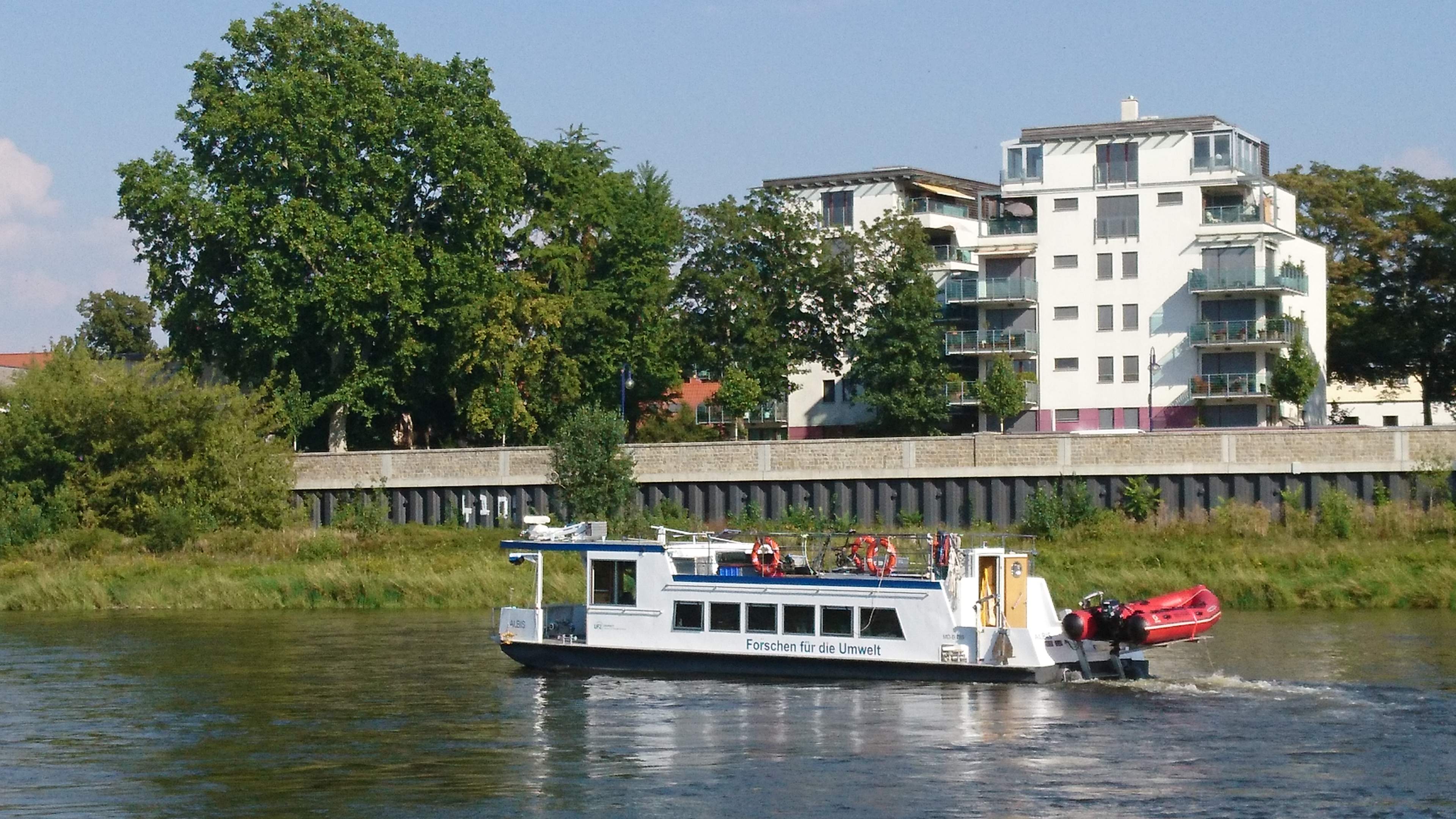 Albis at the Elbe River