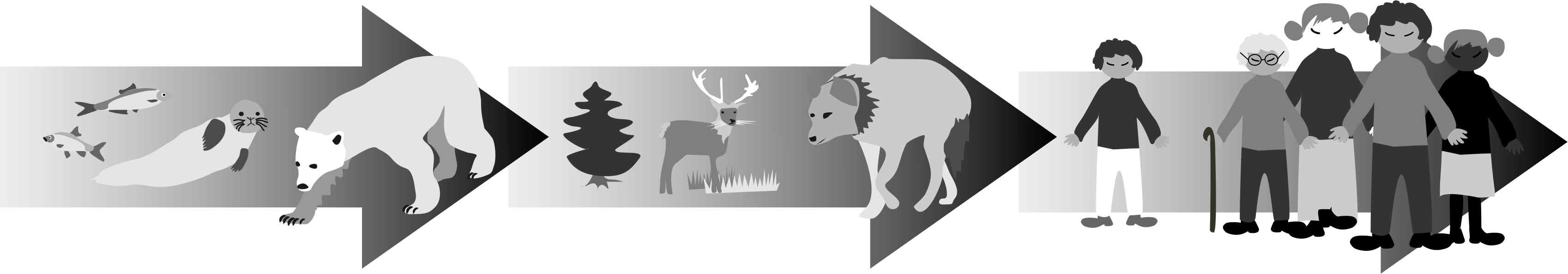 Bioaccumulation in aquatic and terrestrial domains