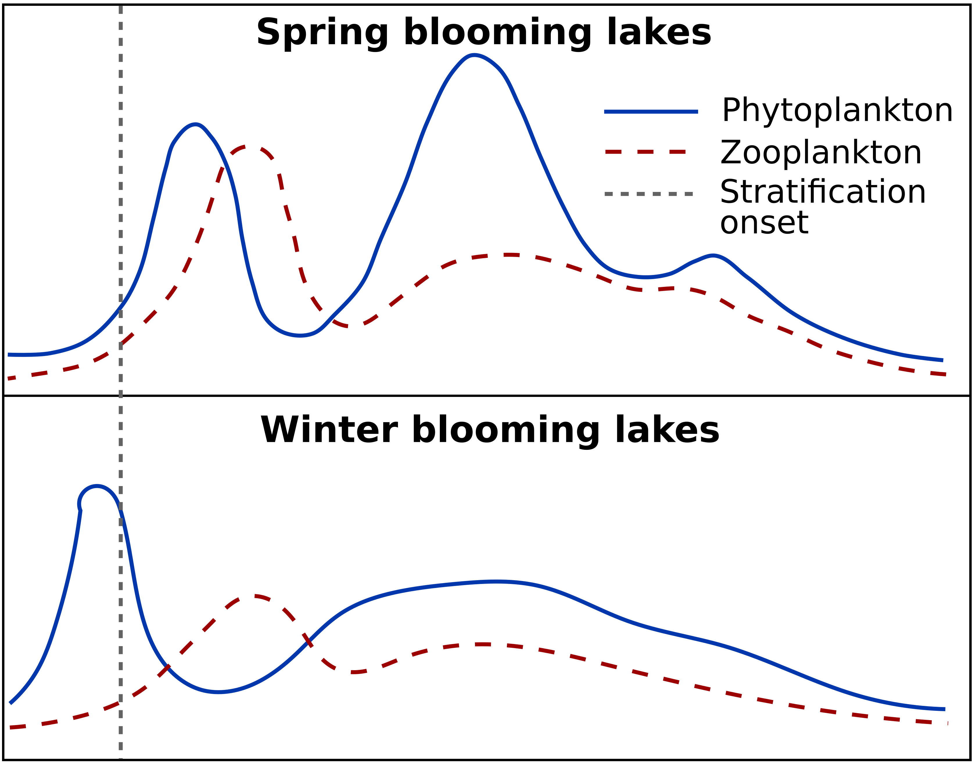 Seasonal pattern of phytoplankton with winter and spring blooms