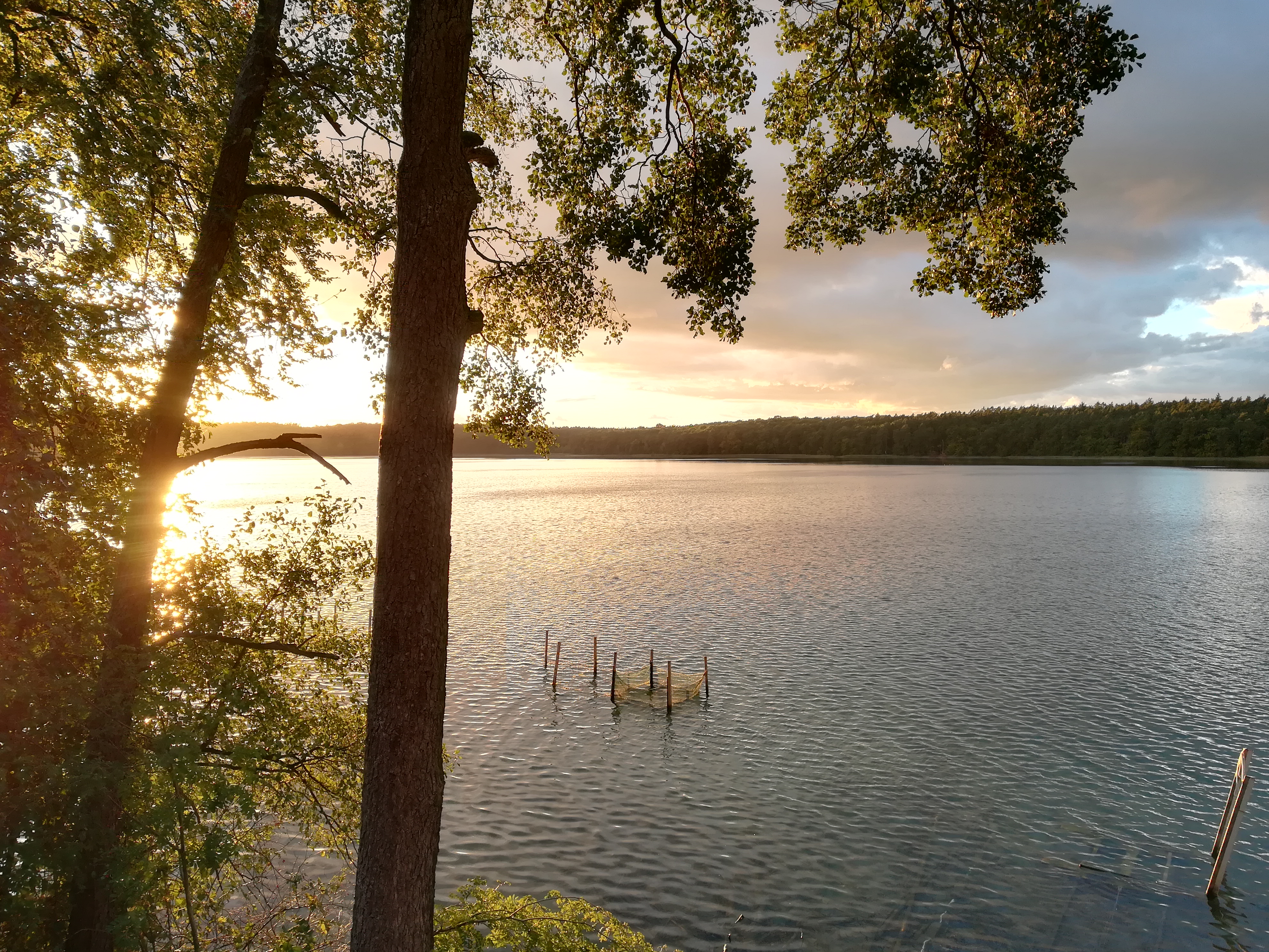 Lake Stechlin Lake Stechlin