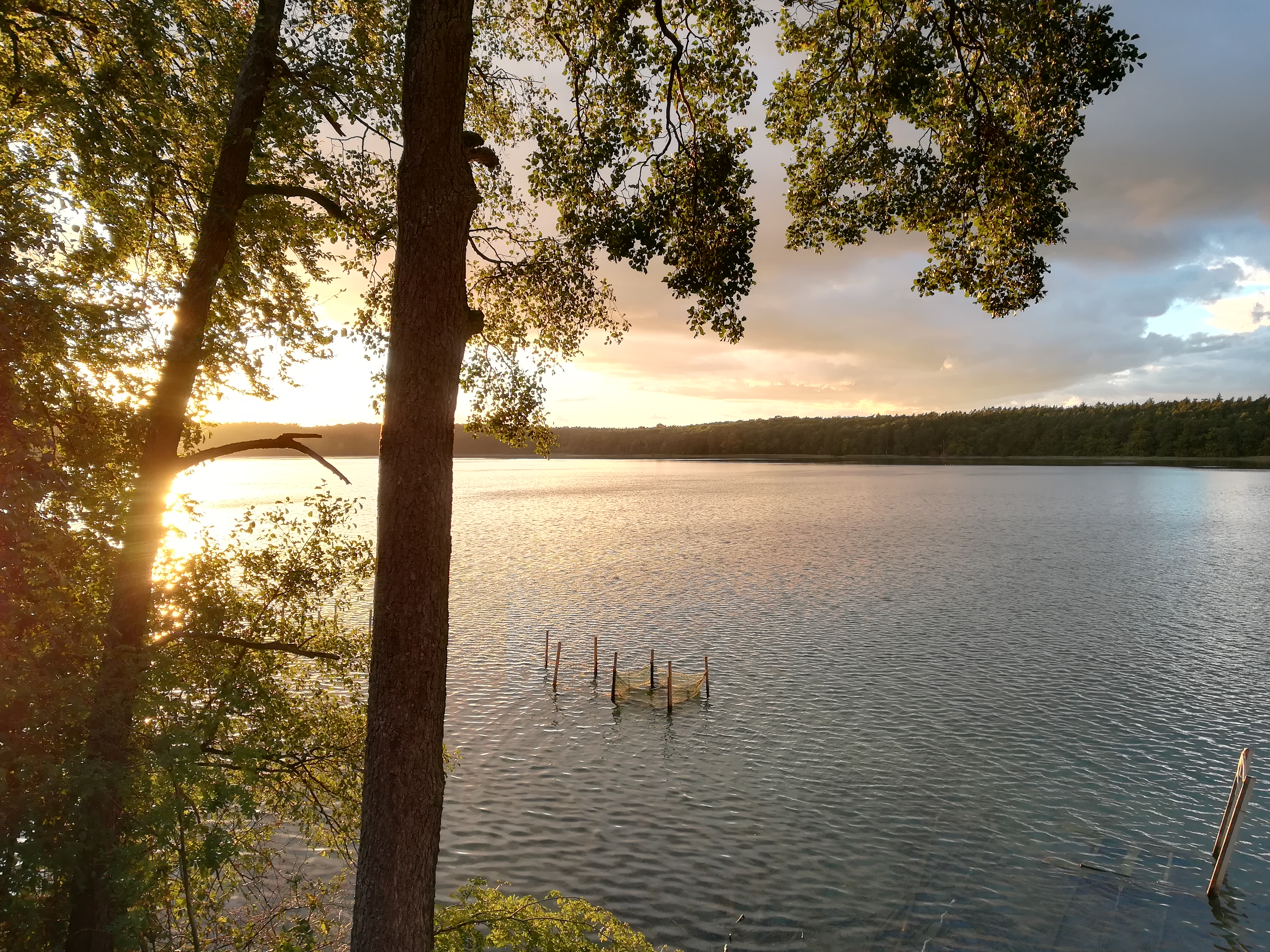 Lake Stechlin