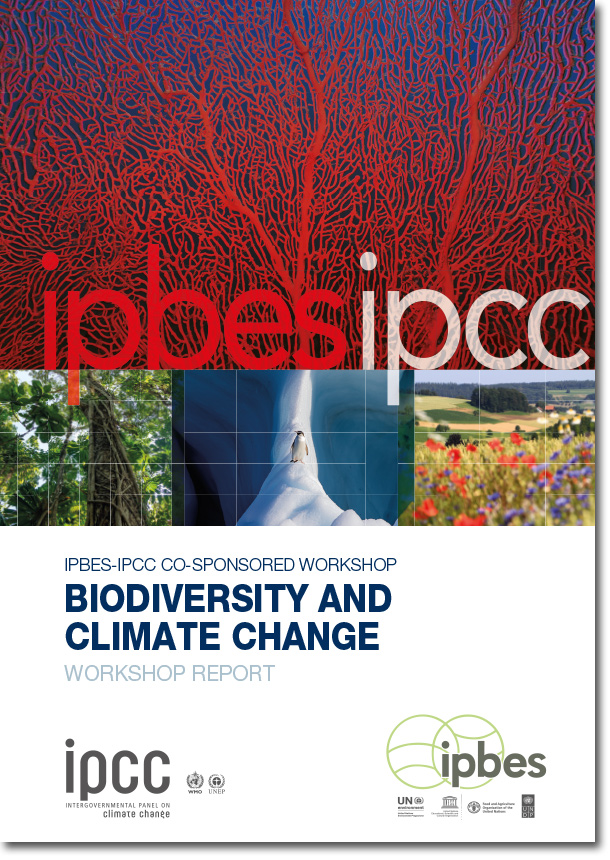 Cover publication: Biodiversity and Climate Change - IPBE-IPCC Co-sponsored Workshop