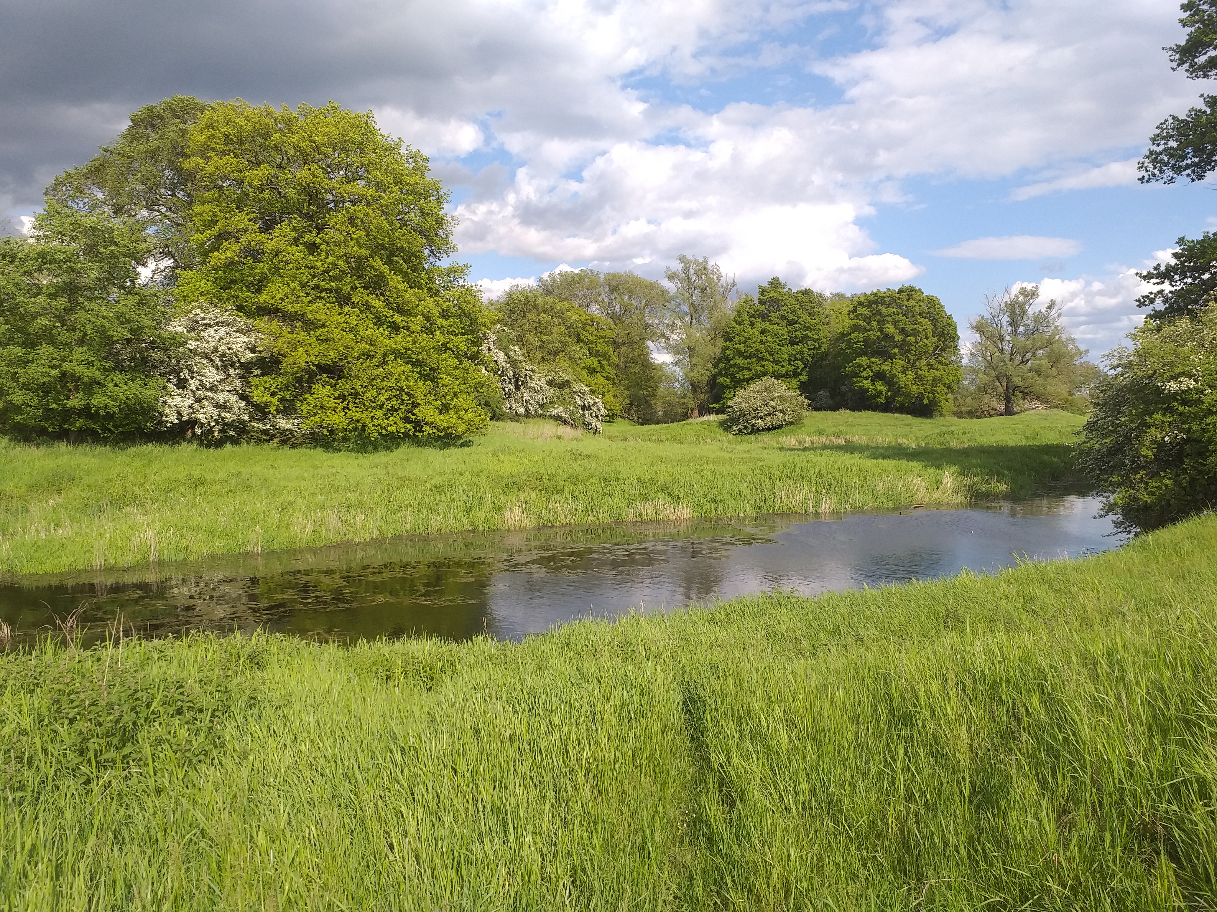 Elbe Flutrinne Elbe Flutrinne