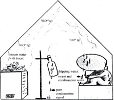 Zech et al: Sauna, Sweat, Science