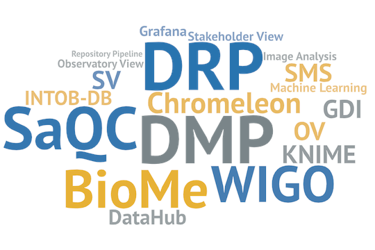 Wordcloud about RDM Projects