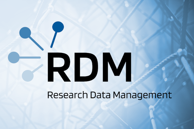 RDM logo