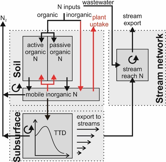 Conceptual representation of mQM N stores and pathways for a grid cell