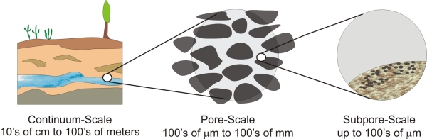 From microbes to landscape (scheme)