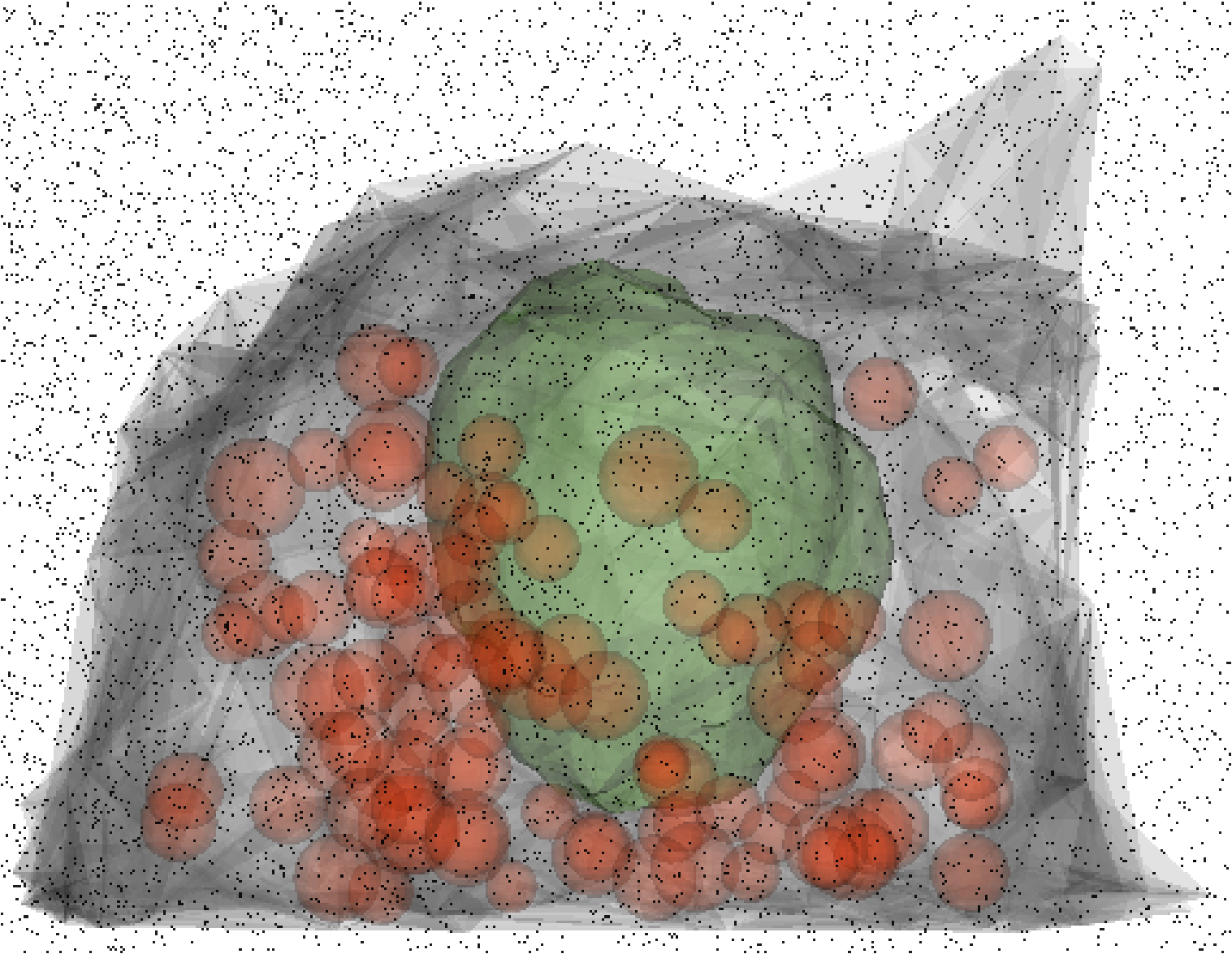 Simulation of contaminant distribution (black) within the nucleus (green) and lysosomes (red) of a Hepa cell (gray). Simulation of contaminant distribution (black) within the nucleus (green) and lysosomes (red) of a Hepa cell (gray).