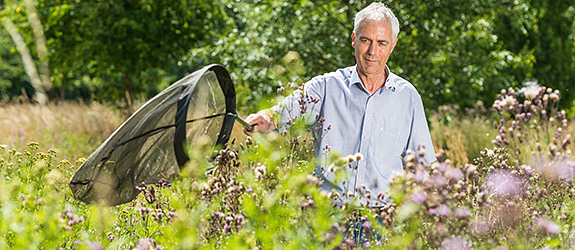 Projekt: "Überbrückung von Distanzen zwischen Gesellschaft und Natur"
Foto: André Künzelmann/UFZ