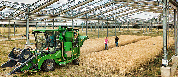 Projekt: "Stärkung von Ökosystemen für die Zukunft"
Foto: André Künzelmann/UFZ