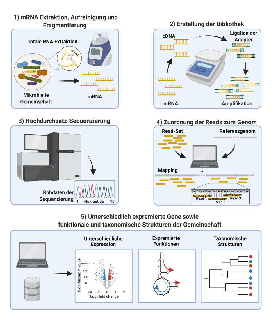 Metatranscriptomics