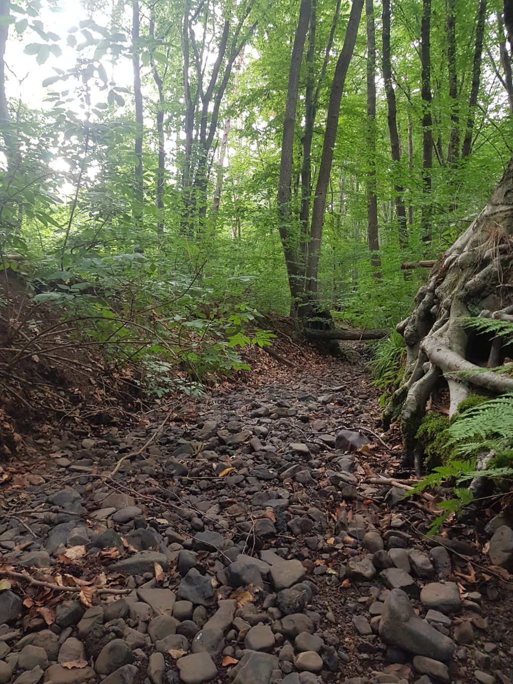When streams run dry When streams run dry