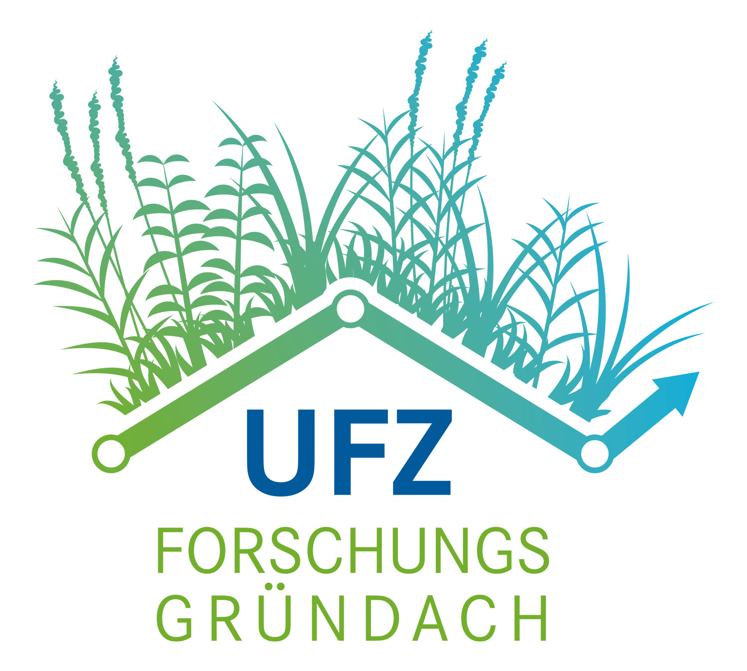 Logo Forschungsgründach Logo Forschungsgründach