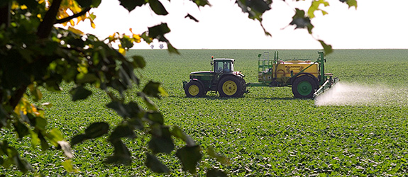 Einsatz von Pestiziden in der Landwirtschaft.
Foto: André Künzelmann/UFZ