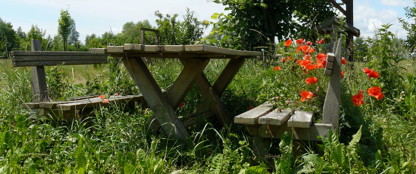 Ecosystem as a place to rest and source for biodiversity. Photo: Roland Krämer/UFZ