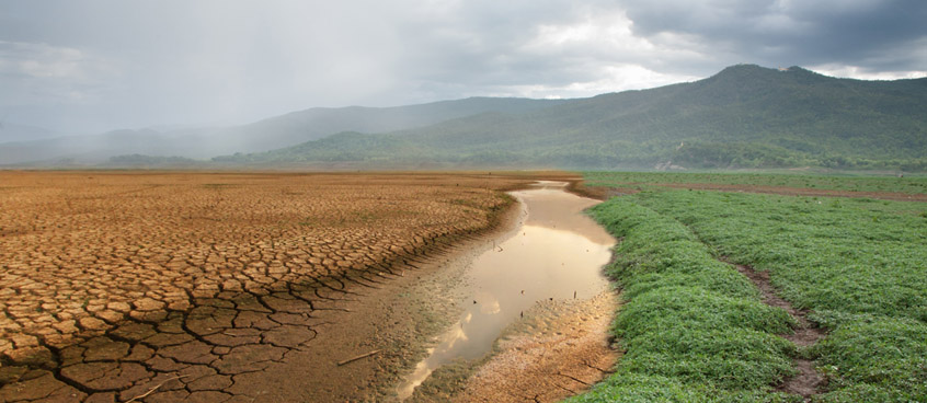 Wasserlache neben einem ausgetrockneten Feld