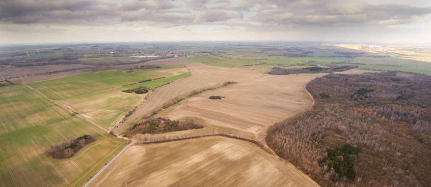 Agrarlandschaft in Sachsen-Anhalt