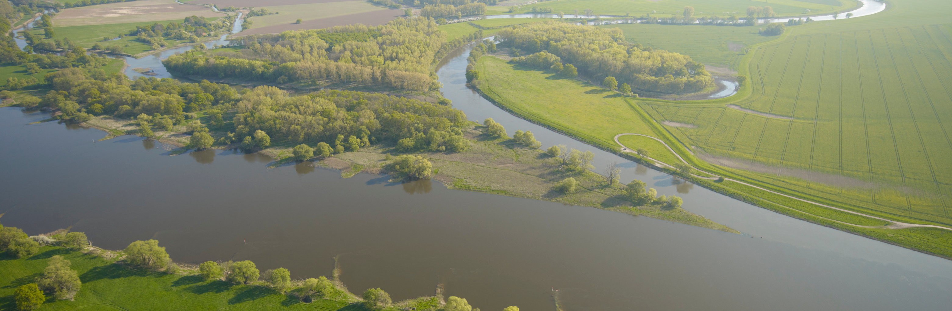 Saaleemündung in die Elbe Foto: A. Künzelmann/UFZ