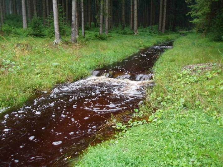 Bräunlicher Quellbach mit hoher DOC-Konzentration (Rote Mulde, Copyright: Norbert Kamjunke, UFZ).