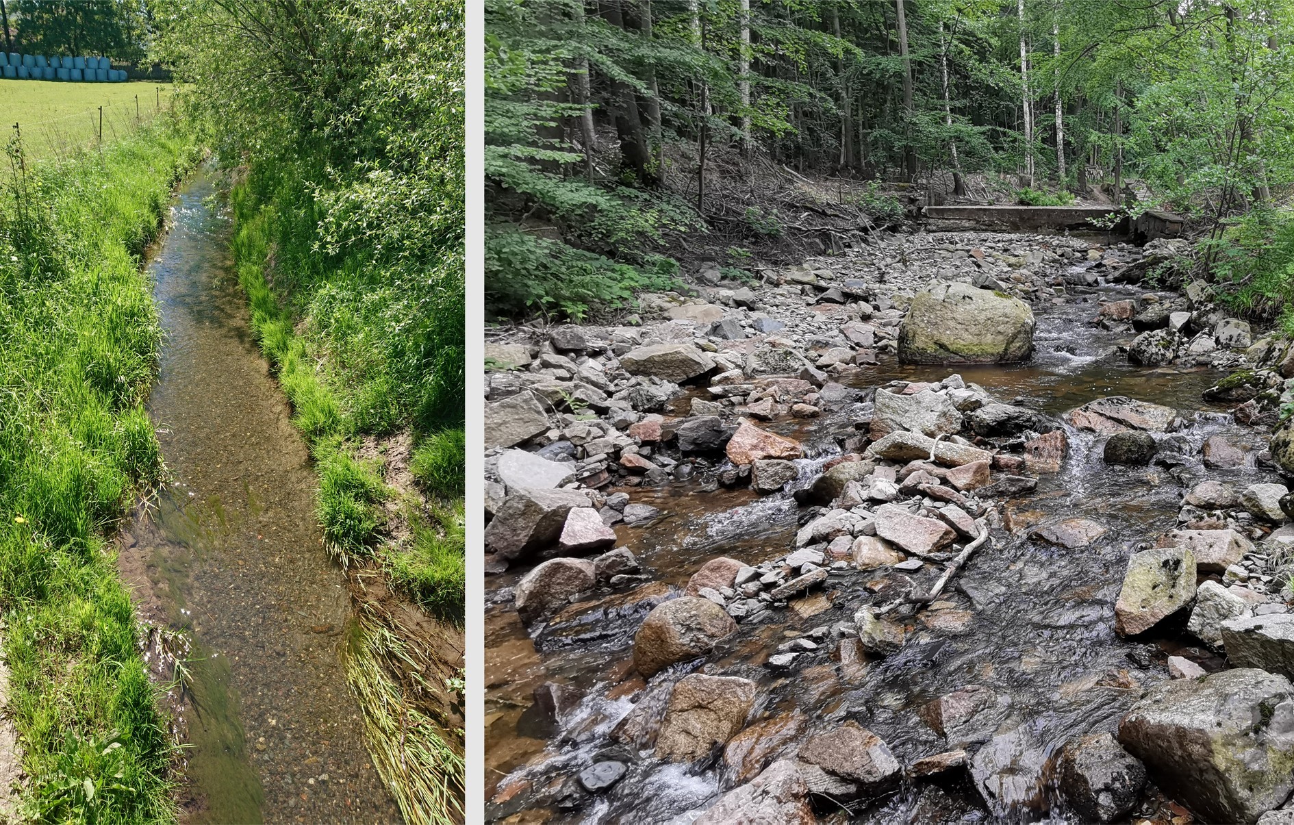 Two streams with contrasting land use for which we collected more than one year of 10-min resolution dissolved oxygen measurements (photo: UFZ).