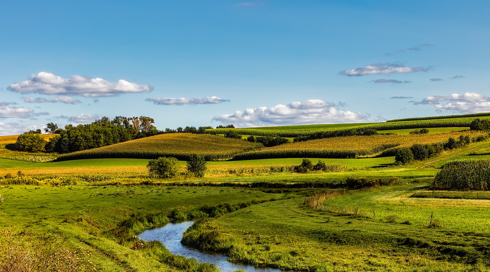 Grüne Landschaft mit Bach. (Quelle: pixabay)