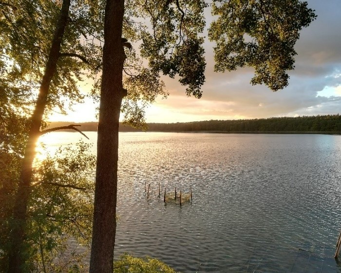 Natural waters are under pressure from diverse sources, here Lake Stechlin in northern Germany. (Photo: Tom Shatwell/UFZ)