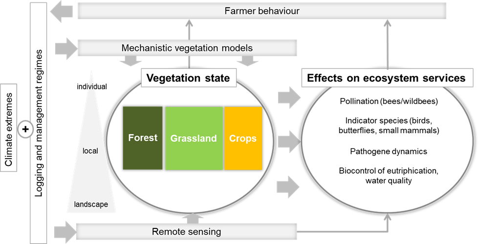 Conceptual scheme of the platform project.