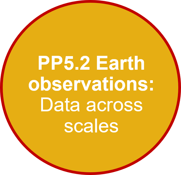 PP5.2 Earth observations: Data across scales