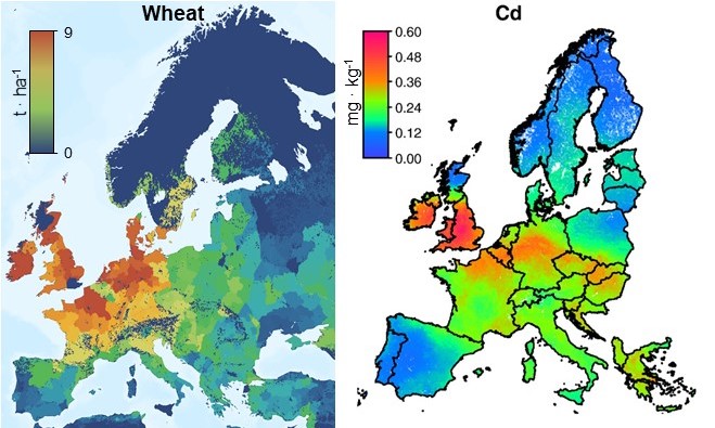 crop_cd_map crop_cd_map