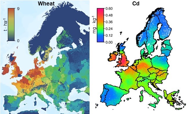 crop_cd_map