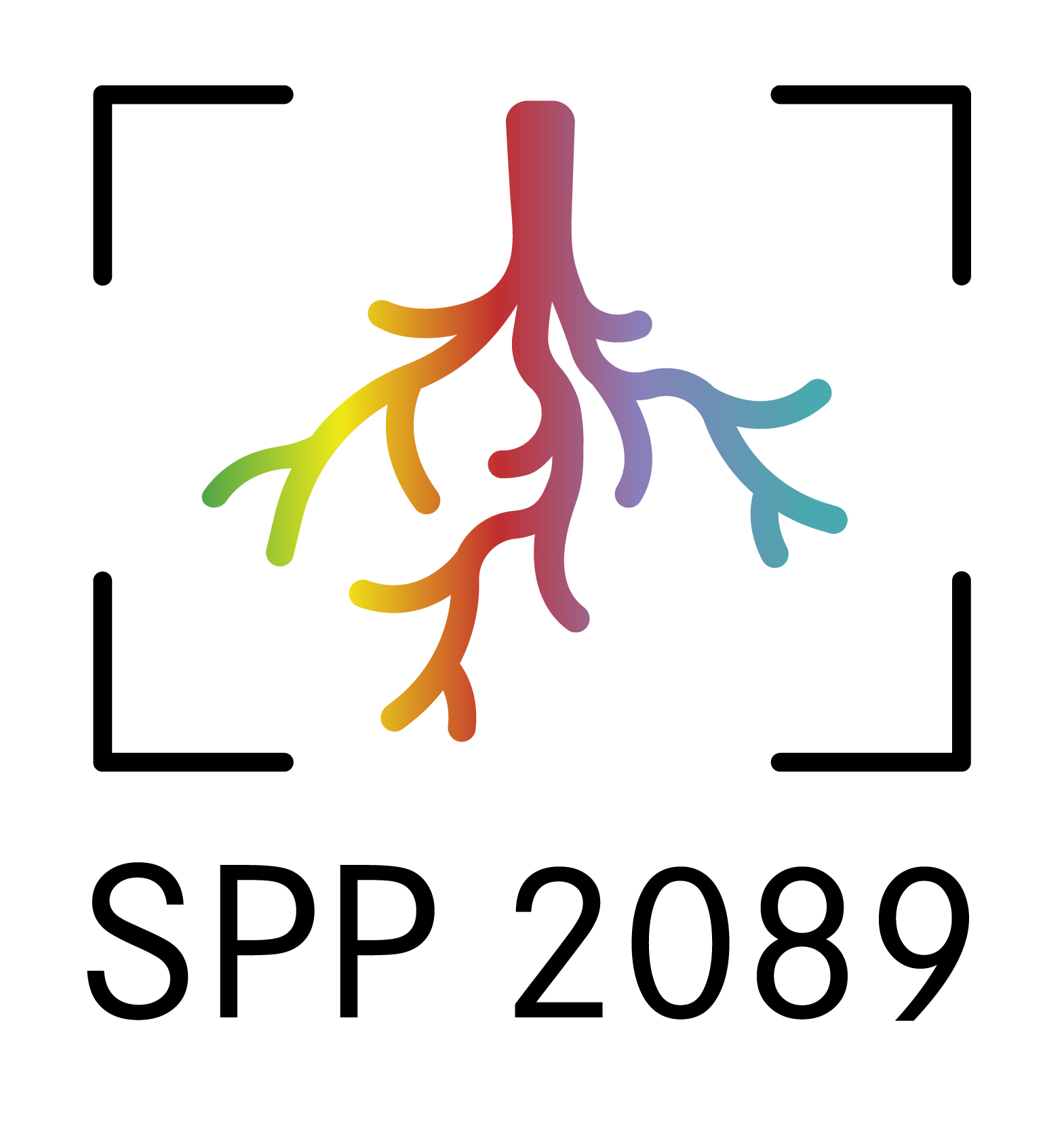 SPP2089