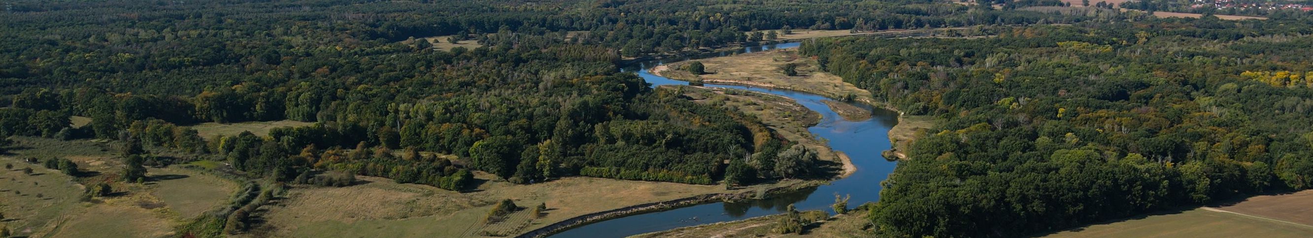 Flussauenlandschaft_Untere Mulde_Foto: Michael Vieweg