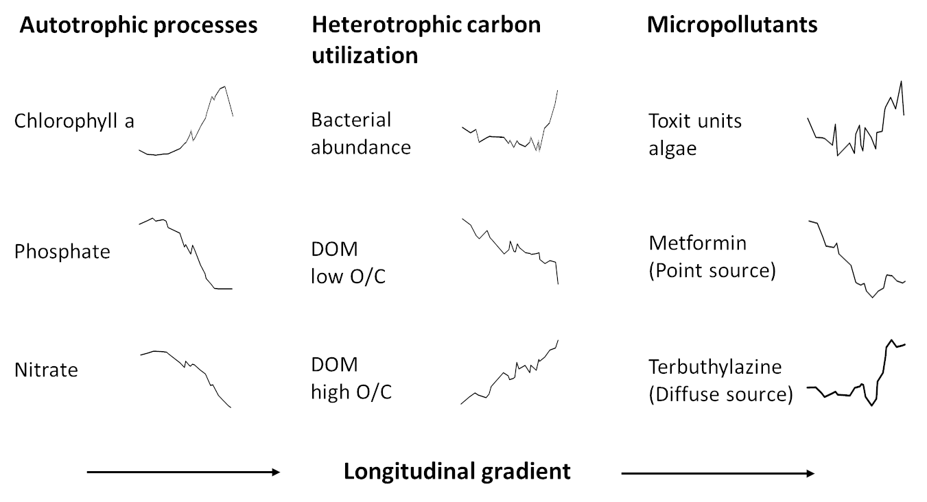 Lagrangian profiles of Elbe at extreme drought