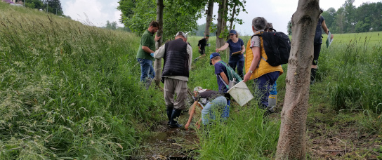 Monitoring biodiversity Change through citizen science