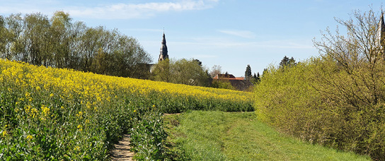 Agriculture and Ecosystem Services