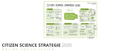 Citizen Science Strategie 2030