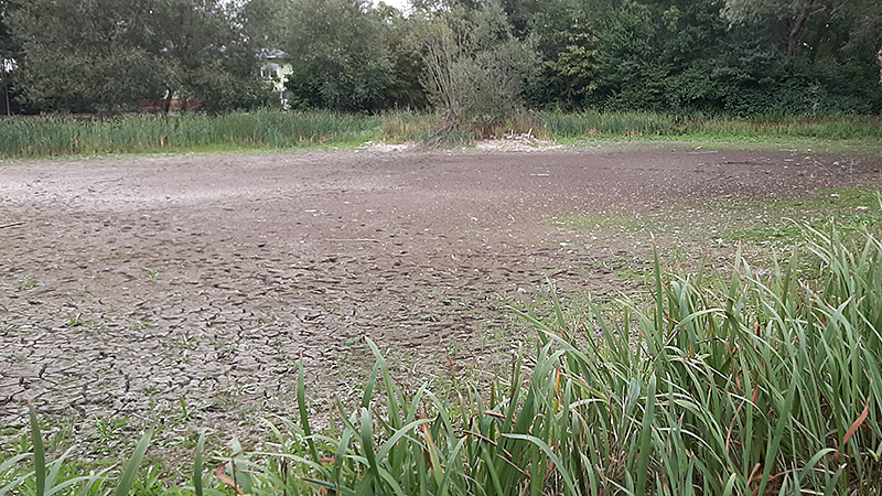 Dorfteich Landsberg OT Plößnitz.
Olaf Bräuer, August 2021.