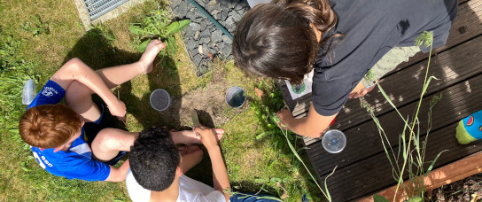 DAAD Australia-Germany Joint Research (DAAD) – using citizen science to benefit nature conservation and human health DAAD Australia-Germany Joint Research (DAAD) – using citizen science to benefit nature conservation and human health