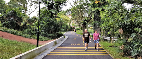 Nature exposure as an equitable, global public health intervention tool –Volkswagenstiftung Symposium Nature exposure as an equitable, global public health intervention tool –Volkswagenstiftung Symposium