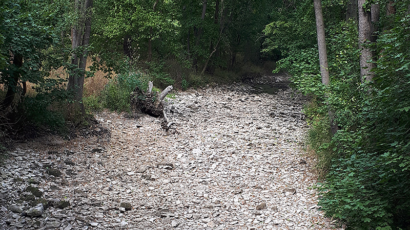 Ausgetrocknete Ilm zwischen Oettern und Buchfahrt (Thüringen).
Foto: R. Nebelung, August 2022.