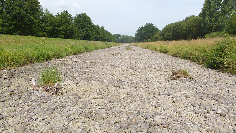 Der Fluss Dreisam ist 3 Kilometer westlich von Freiburg komplett ausgetrocknet.
Foto: Till Meinrenken, August 2022.