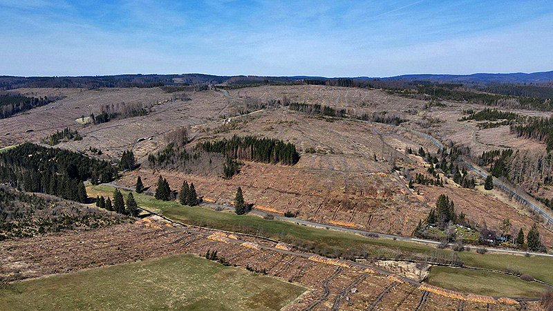 Forstschäden durch  Dürre und Käferbefall im Elberndorftal bei Erndtebrück, Kreis Siegen-Wittgenstein.
Foto: Peter Schneider, April 2022